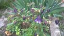 WP_20150501_028