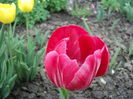 DSC02461