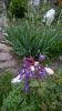 WP_20150501_025