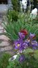 WP_20150501_026