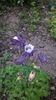 WP_20150501_030