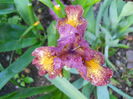 DSCN6176