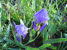 DSCN6179