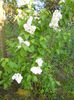 DSCN6193
