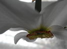 P5020027