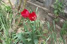 my photo 300