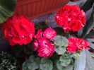 20150429_123327