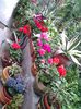 20150429_123241