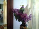 20150427_141636
