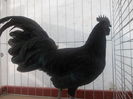 DSCN0277