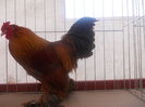 DSCN0279