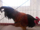 DSCN0284