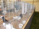 DSCN0296