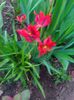 IMG_20150503_173252