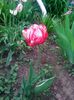 IMG_20150503_173126