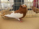 DSCN0356