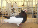 DSCN0360