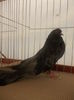 DSCN0364