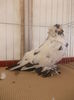 DSCN0374