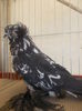 DSCN0377