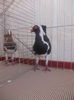 DSCN0381