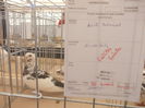 DSCN0384