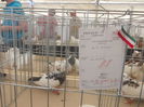 DSCN0388