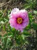 20150503_180418
