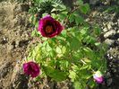 20150503_180437