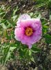 20150503_180525