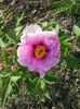 20150503_180528