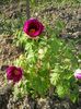 20150503_180534