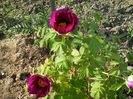 20150503_180542