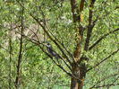 DSC00335