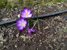 IMG_20150312_144219