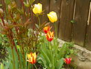 3 mai 045