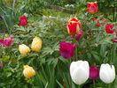 3 mai 053