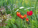 3 mai 065