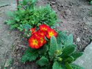 IMG_20150405_161951