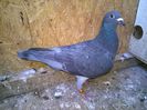 WP_20150501_008