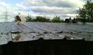 IMG_20150503_080625