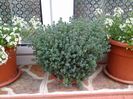 IMG_20150504_072627