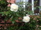 IMG_20150504_101312