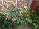 IMG_20150504_101231