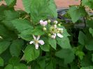 IMG_20150504_101250