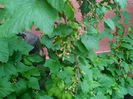 IMG_20150504_101258