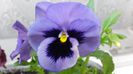 20150425_112917