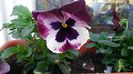 20150425_112956