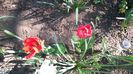 20150425_113057