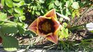 20150425_113937